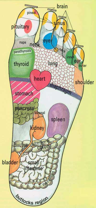 foot-chart1